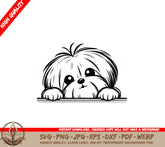 Cotons De Tulear Gaze SVG - Digital Product in Various Formats